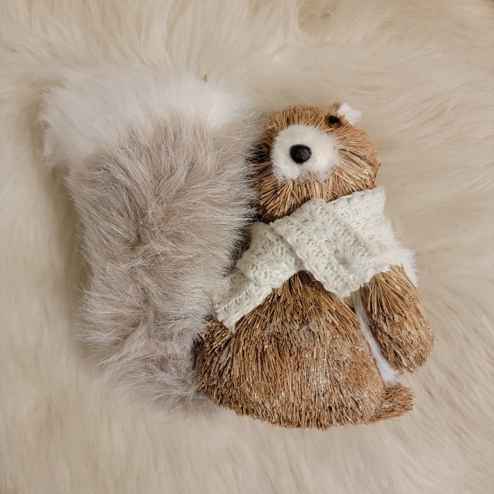 Squirrel Holiday Christmas Winter Home Decor